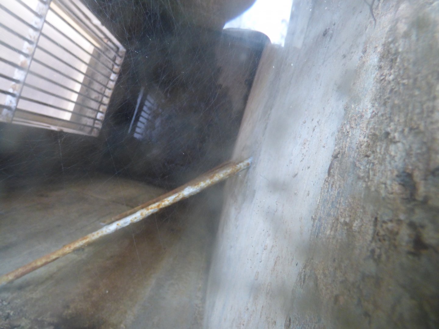 View into old bear indoors in Bear Ravine