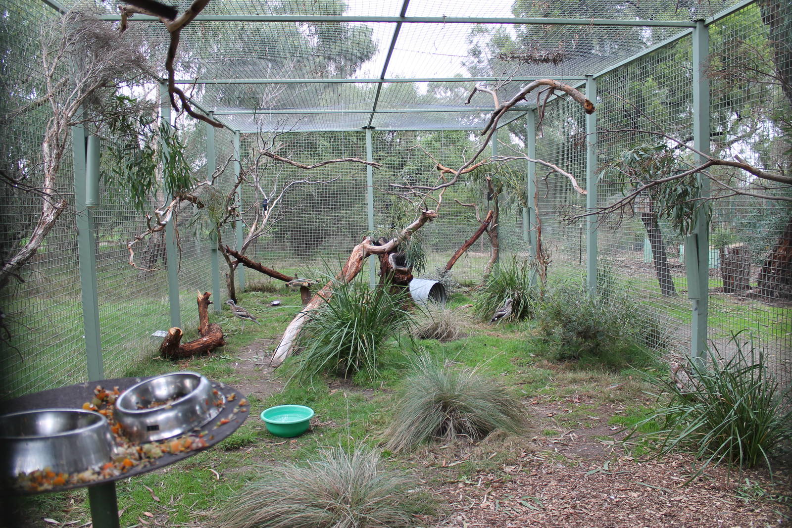 view into one of the aviaries
