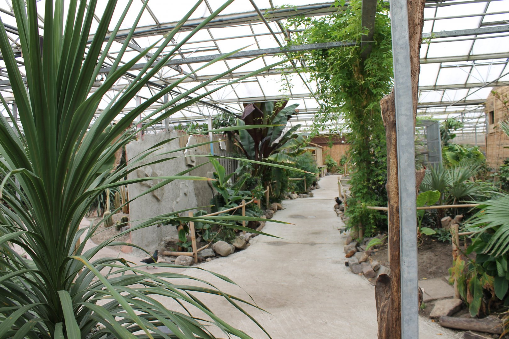 View into one of the halls