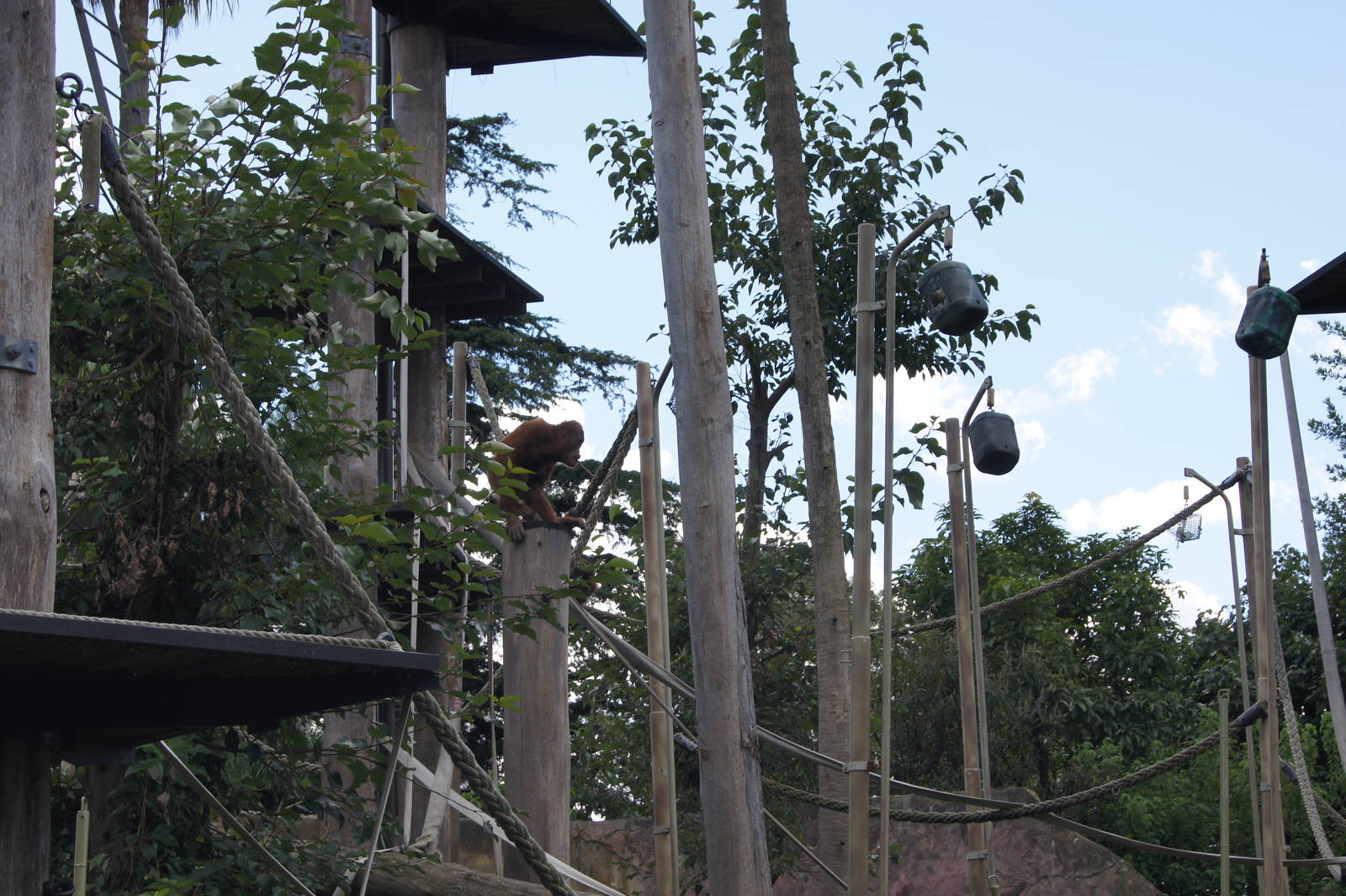 View into open enclosure