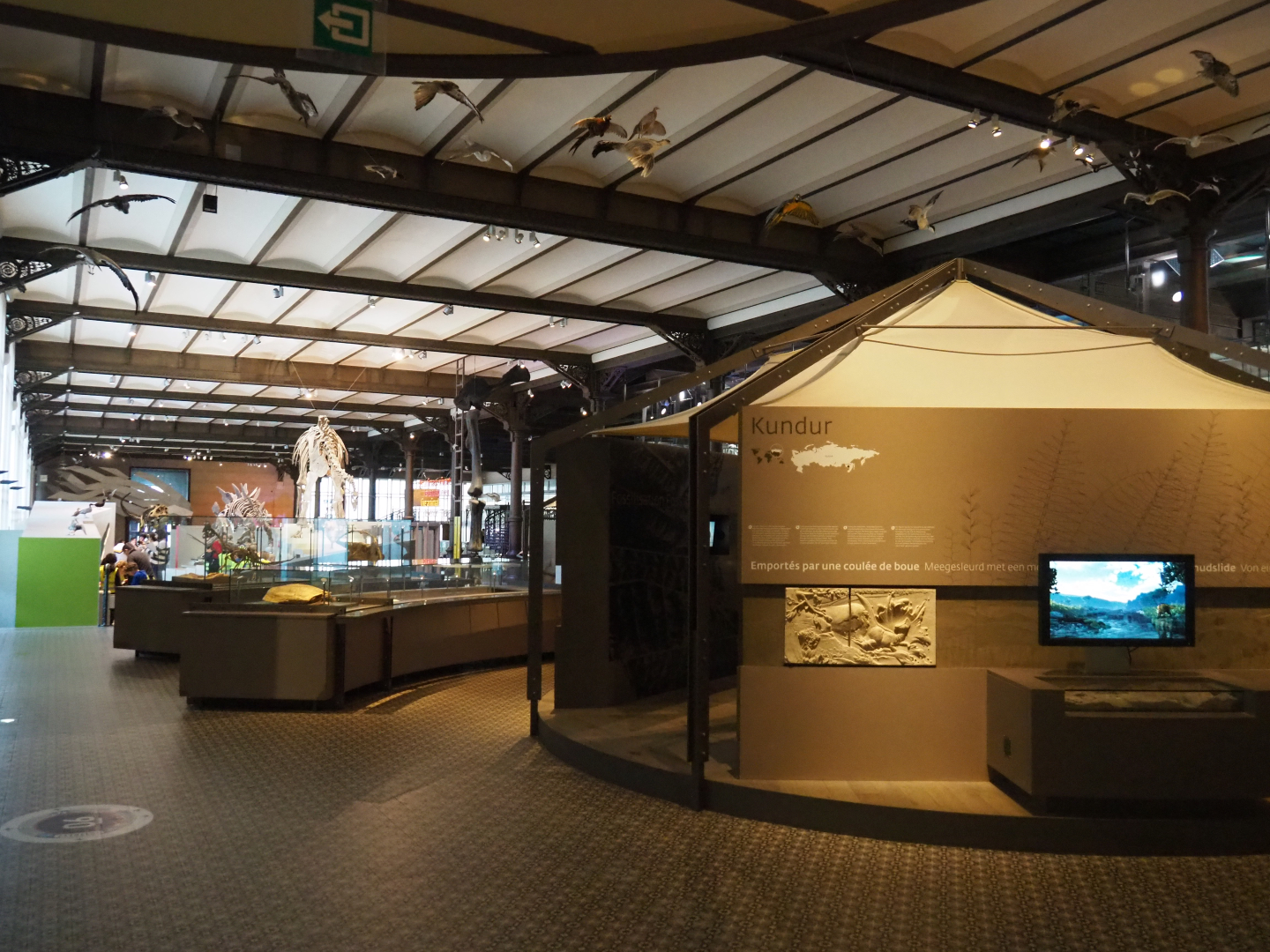 View into part of the dinosaur wing, 2019-12-03