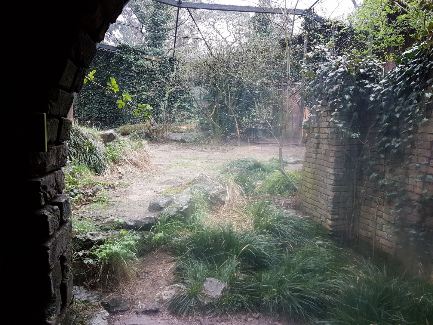 View into part of the Lion-enclosure