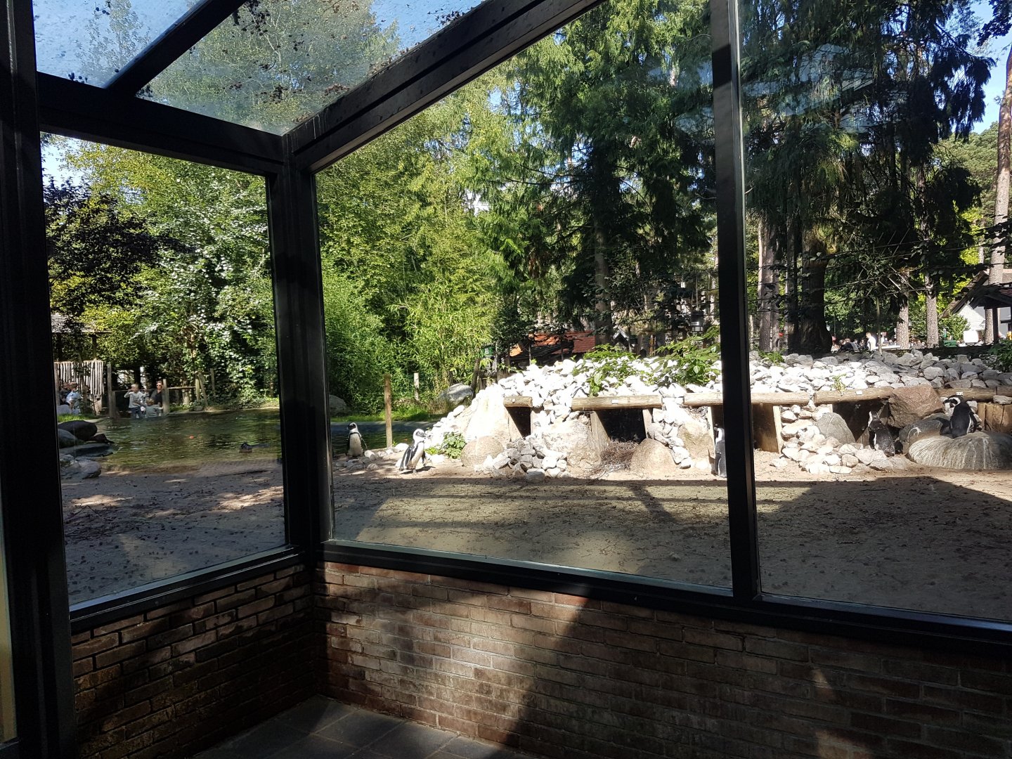 View into Penguin-enclosure