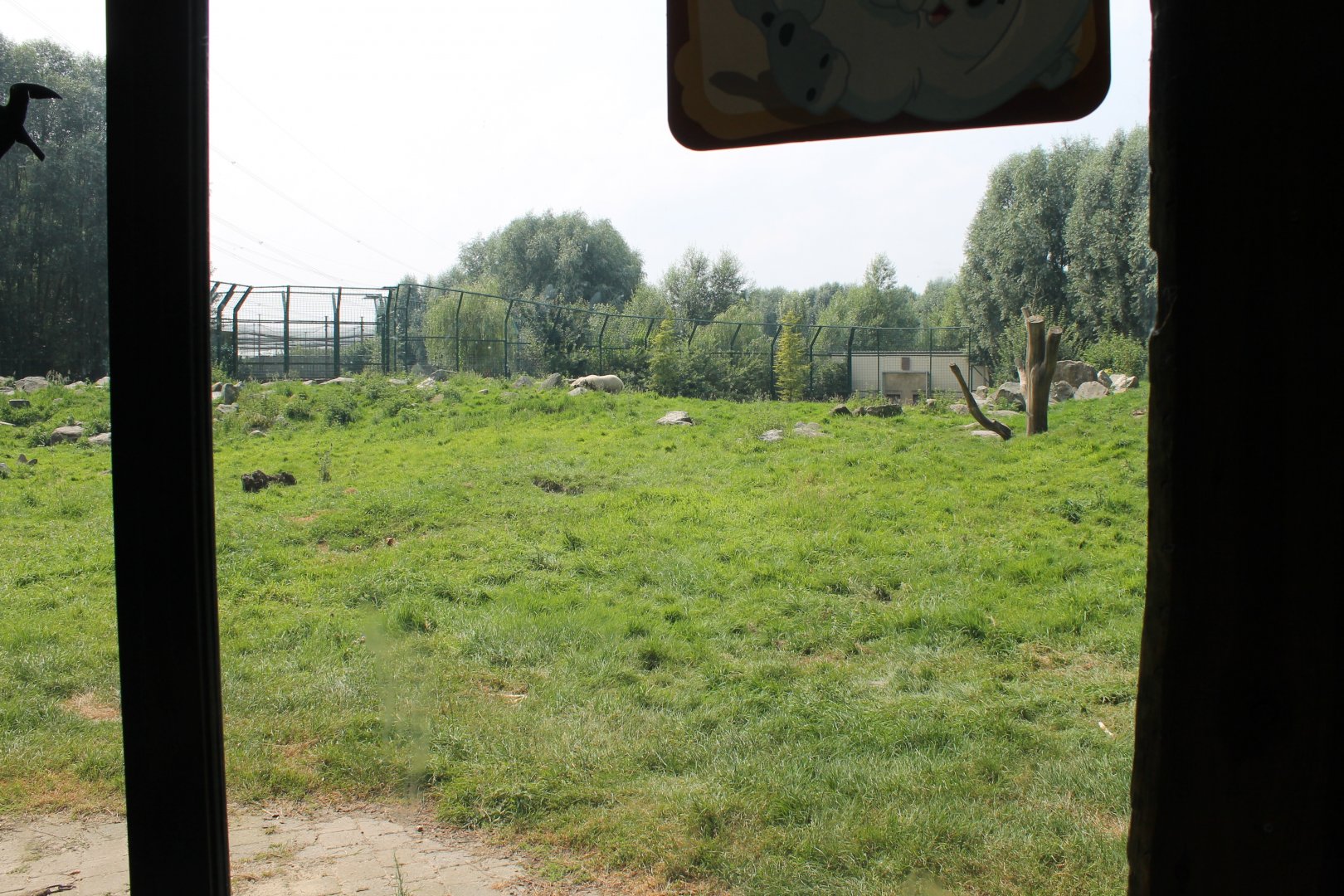 View into Polar bear-enclosure