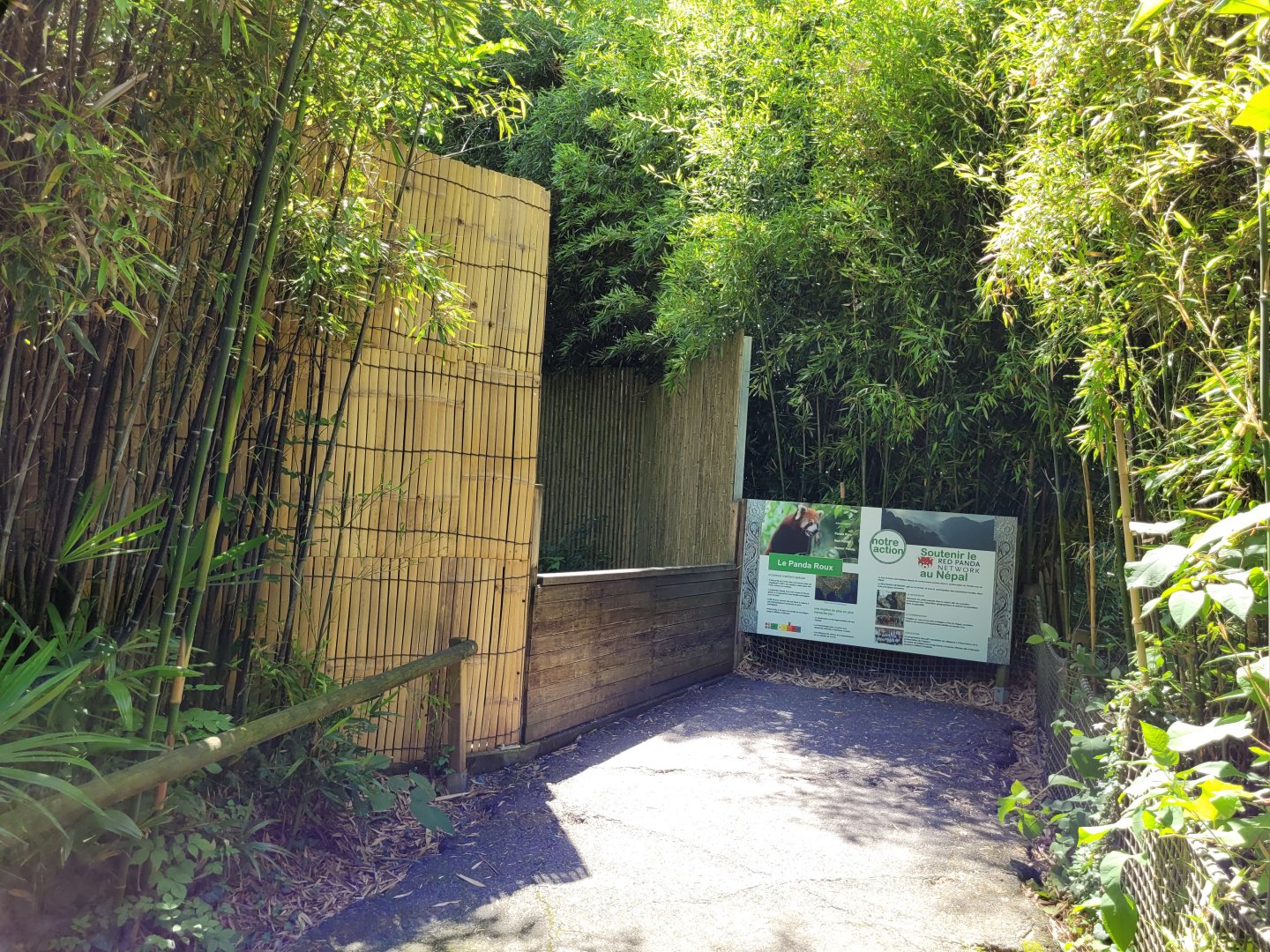 View into red panda exhibit -Zoo d'Asson (2022)