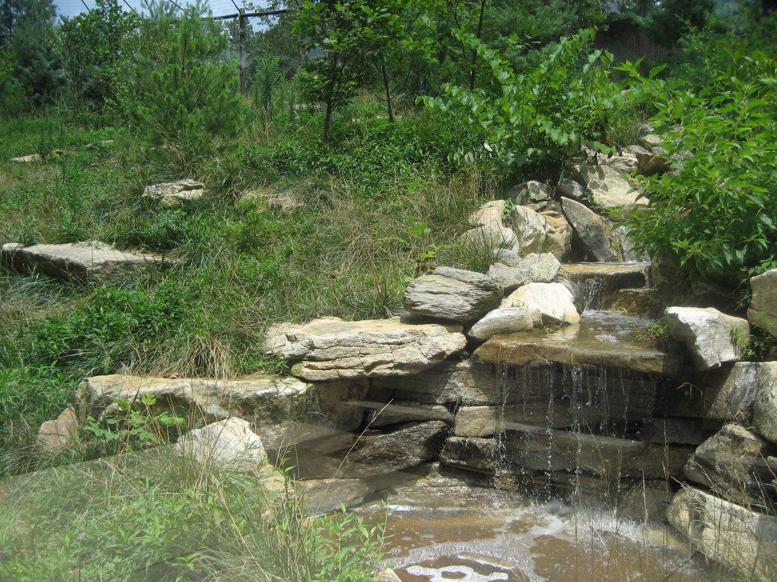 view into red wolf - showing waterfall