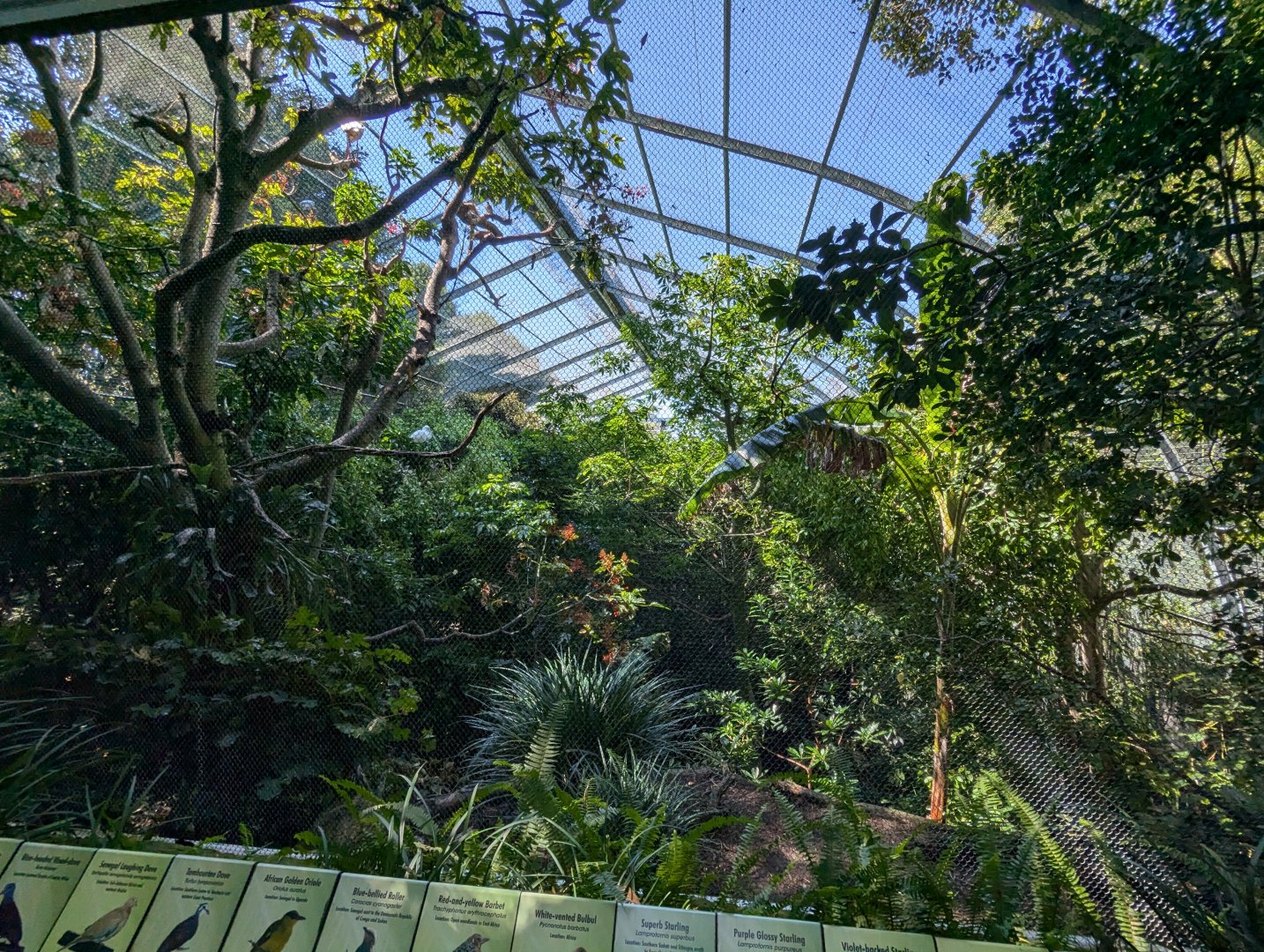 View Into Scripps Aviary