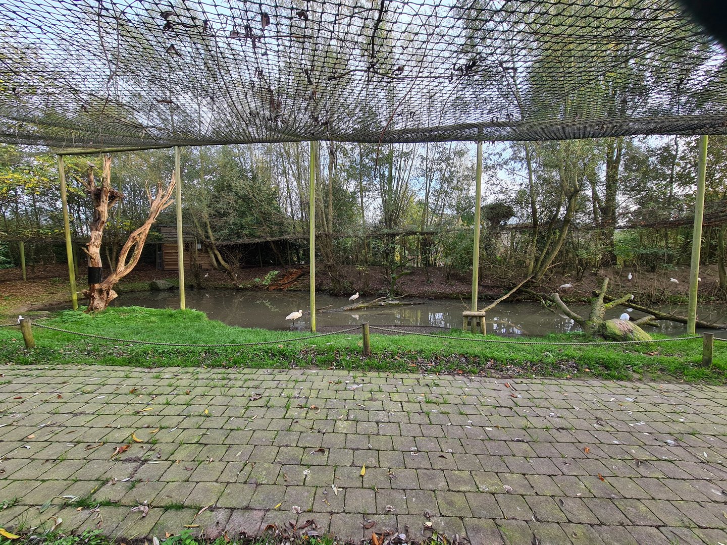 View into Second aviary