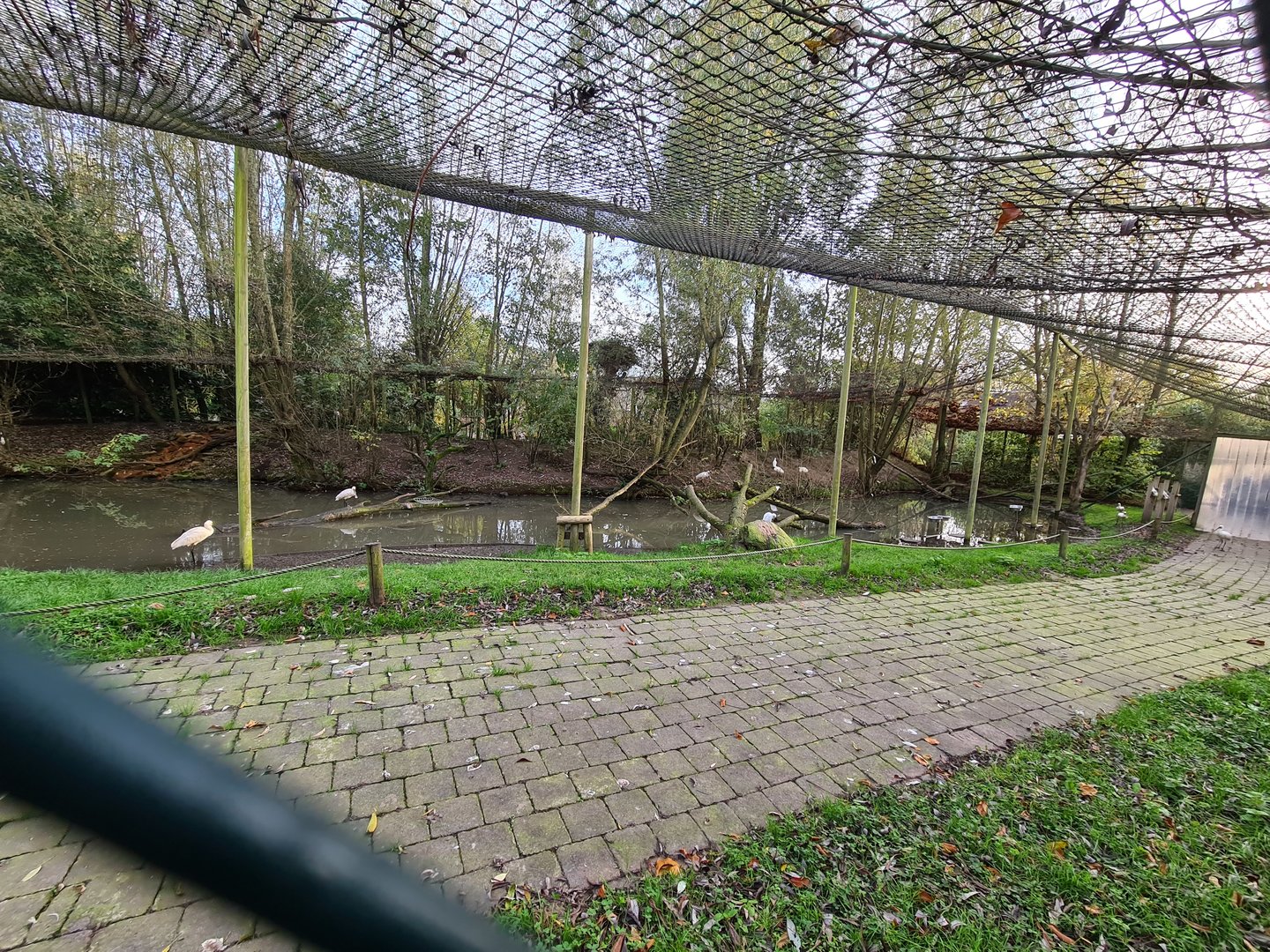 View into second aviary