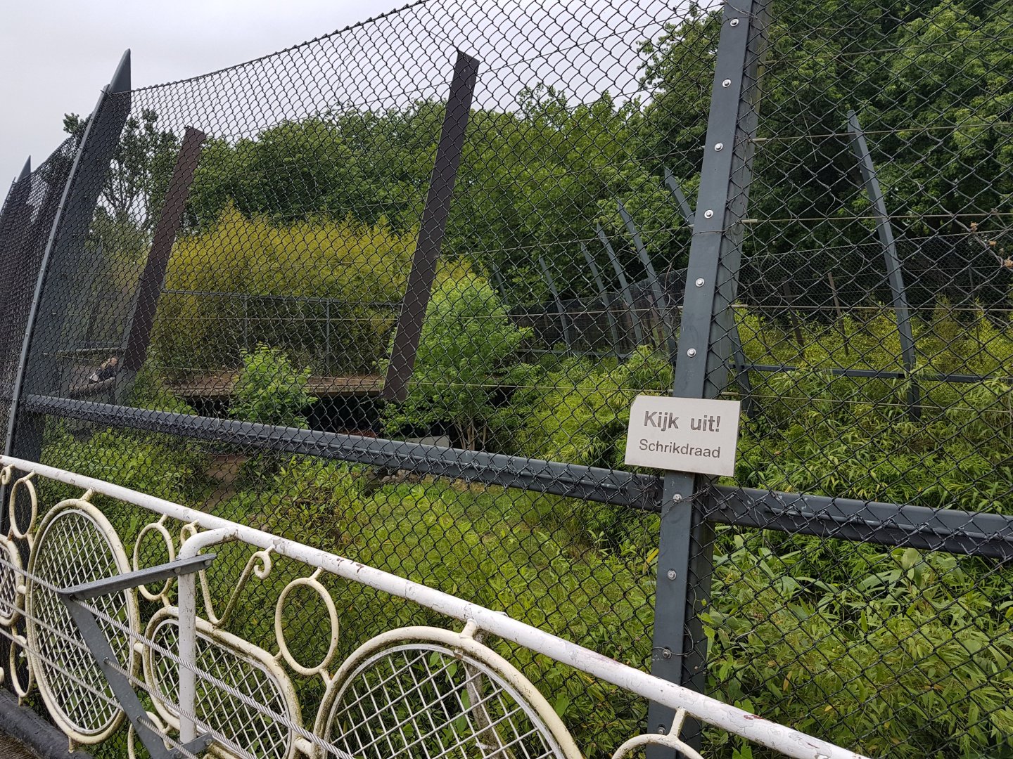 View into second Sumatra tiger-enclosure