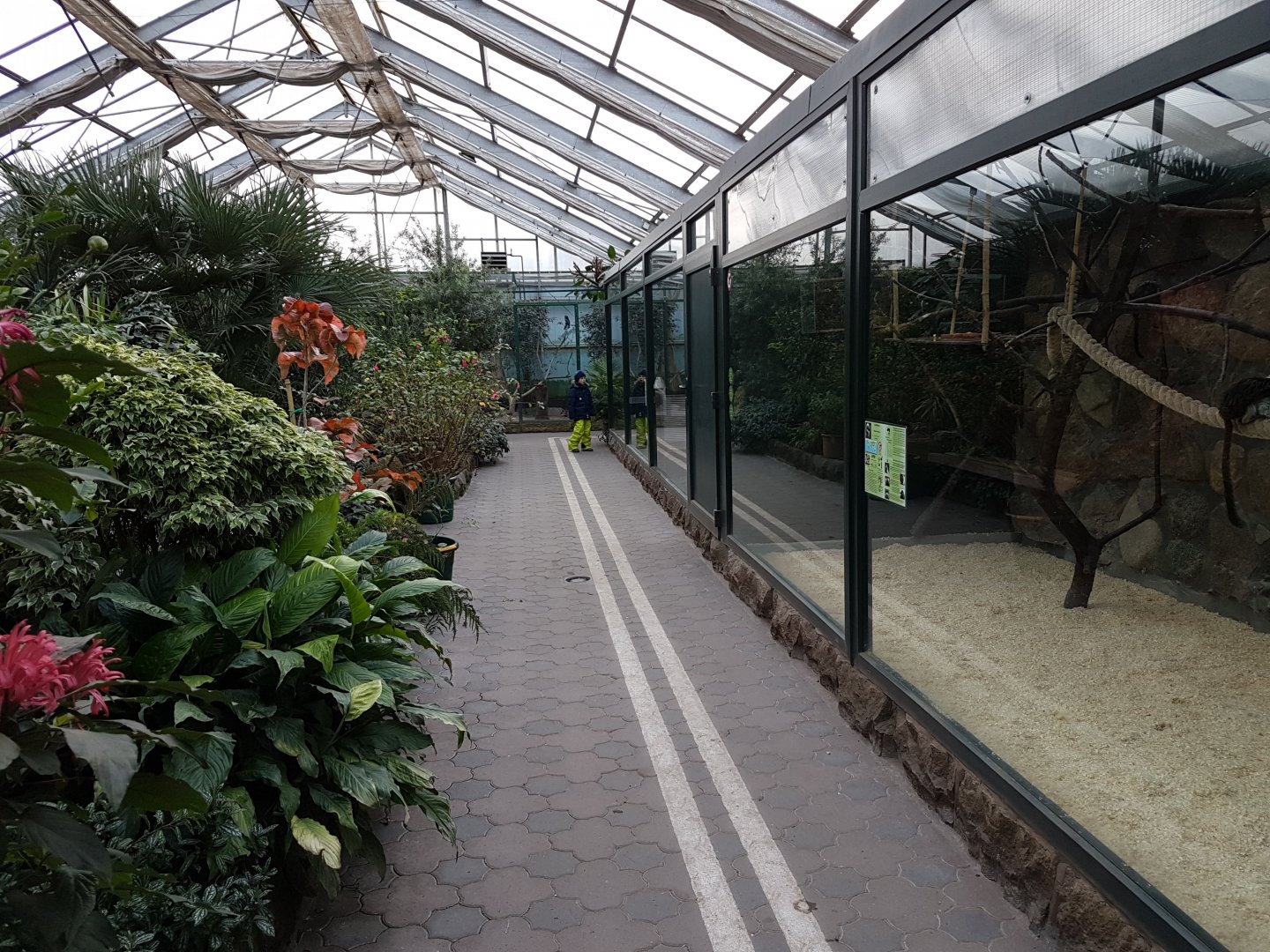 View into sencond part of the Paradies-halle