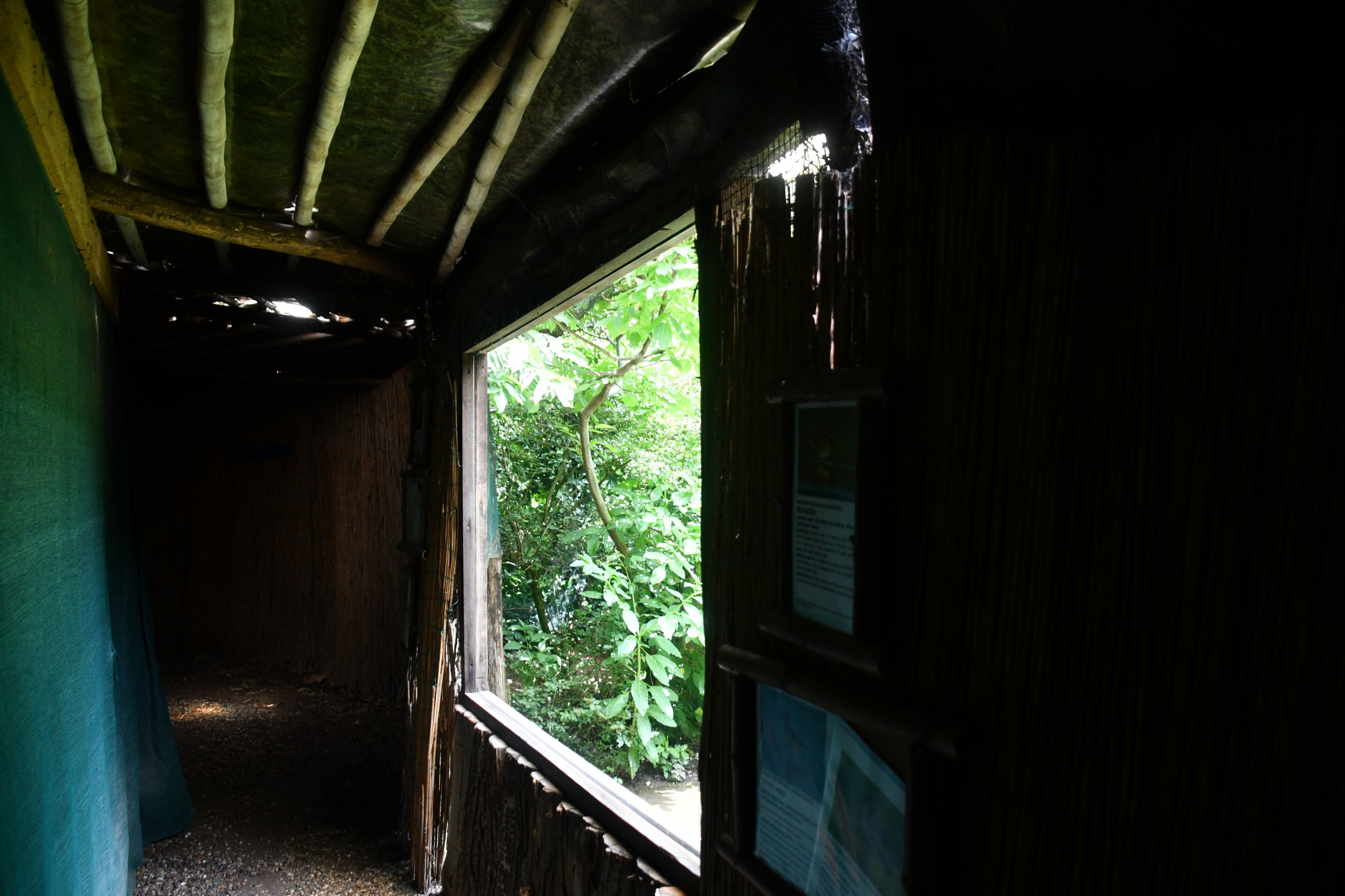 view into shorebirds aviary