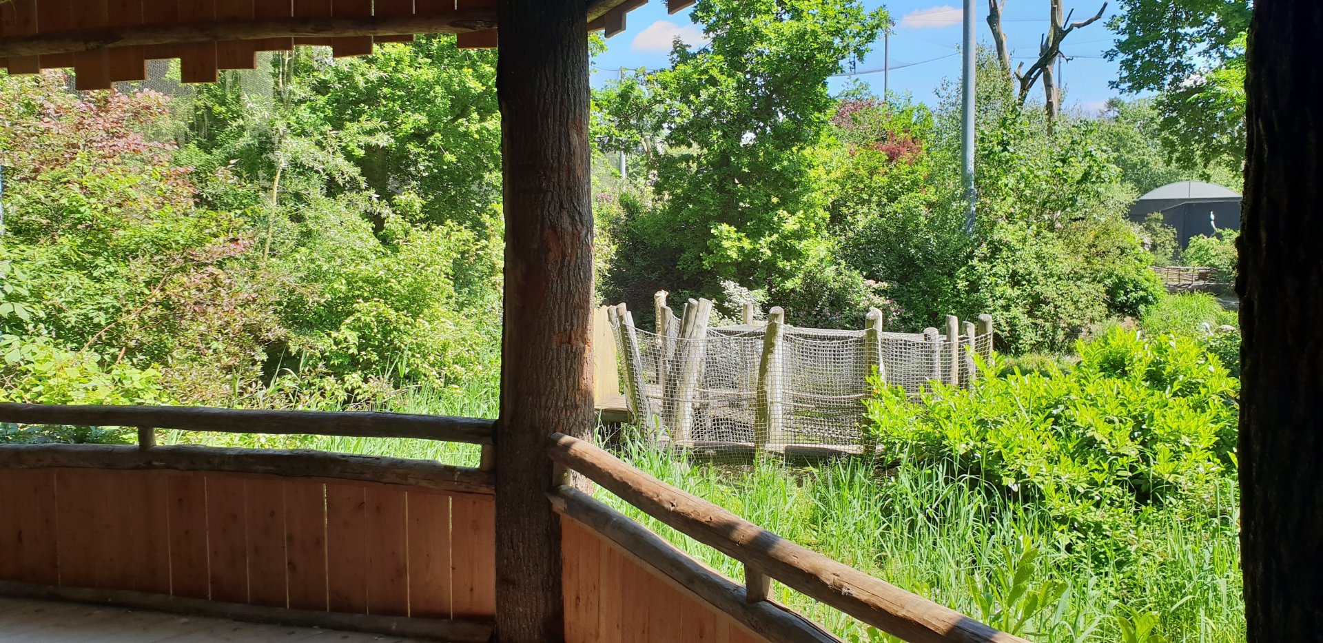 View into "Snavelrijk" - a large walk-through aviary