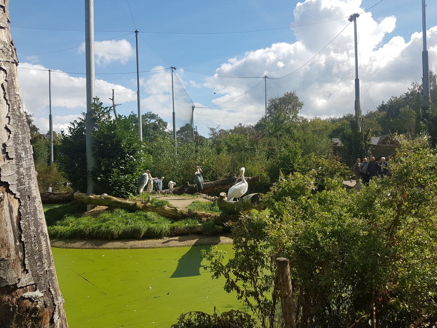 View into Snavelrijk - large walk-through aviary