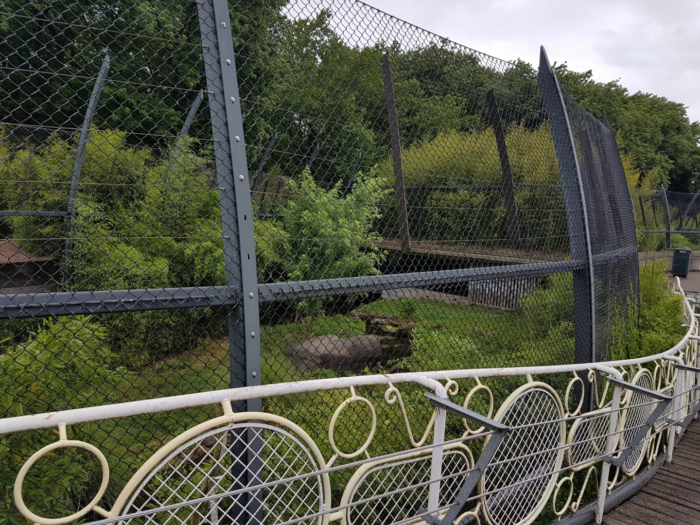 View into Sumatra tiger enclosure