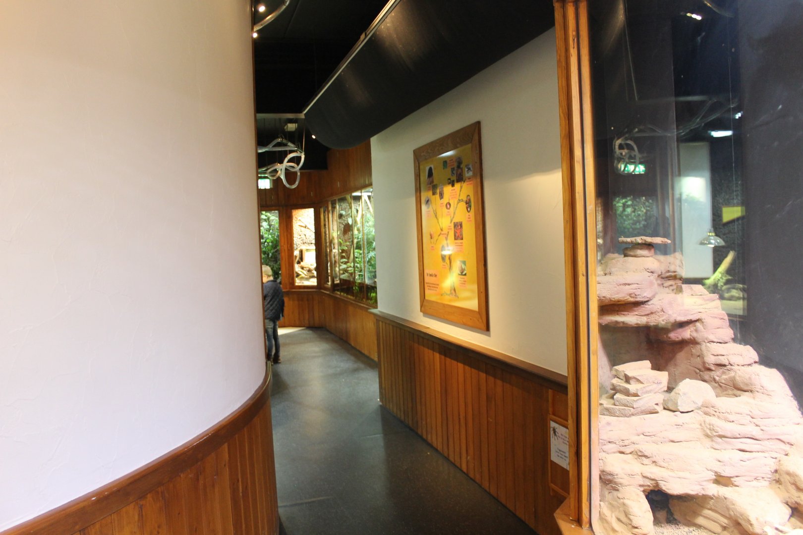 View into the 100.000 animal-house