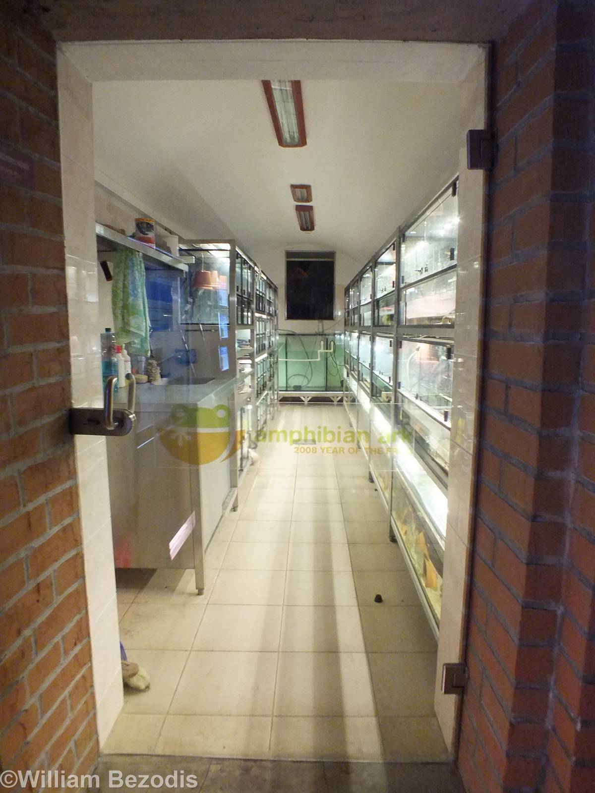 View into the 'Amphibian Ark'