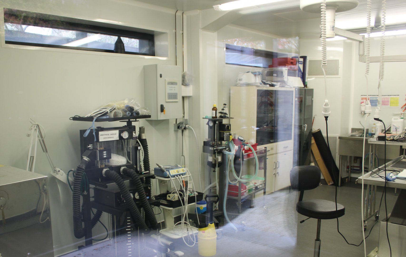 View into the Animal-hospital