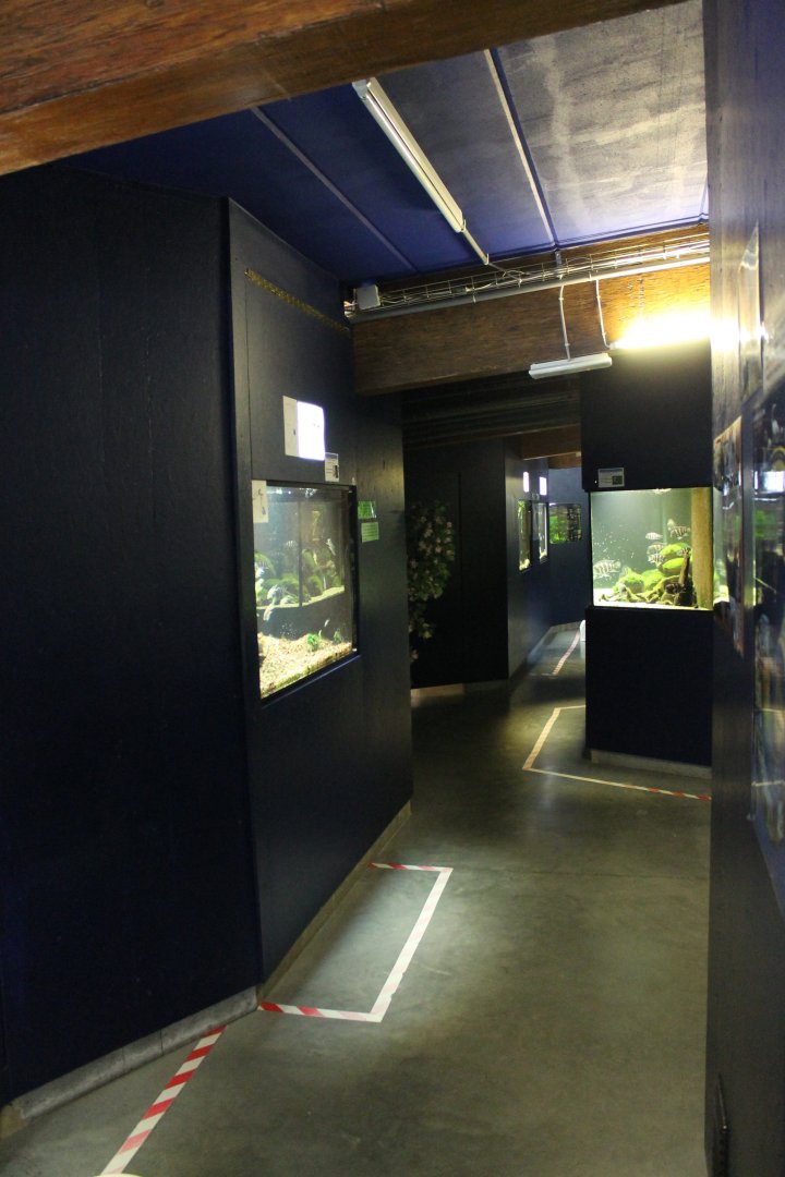 View into the Aquarium