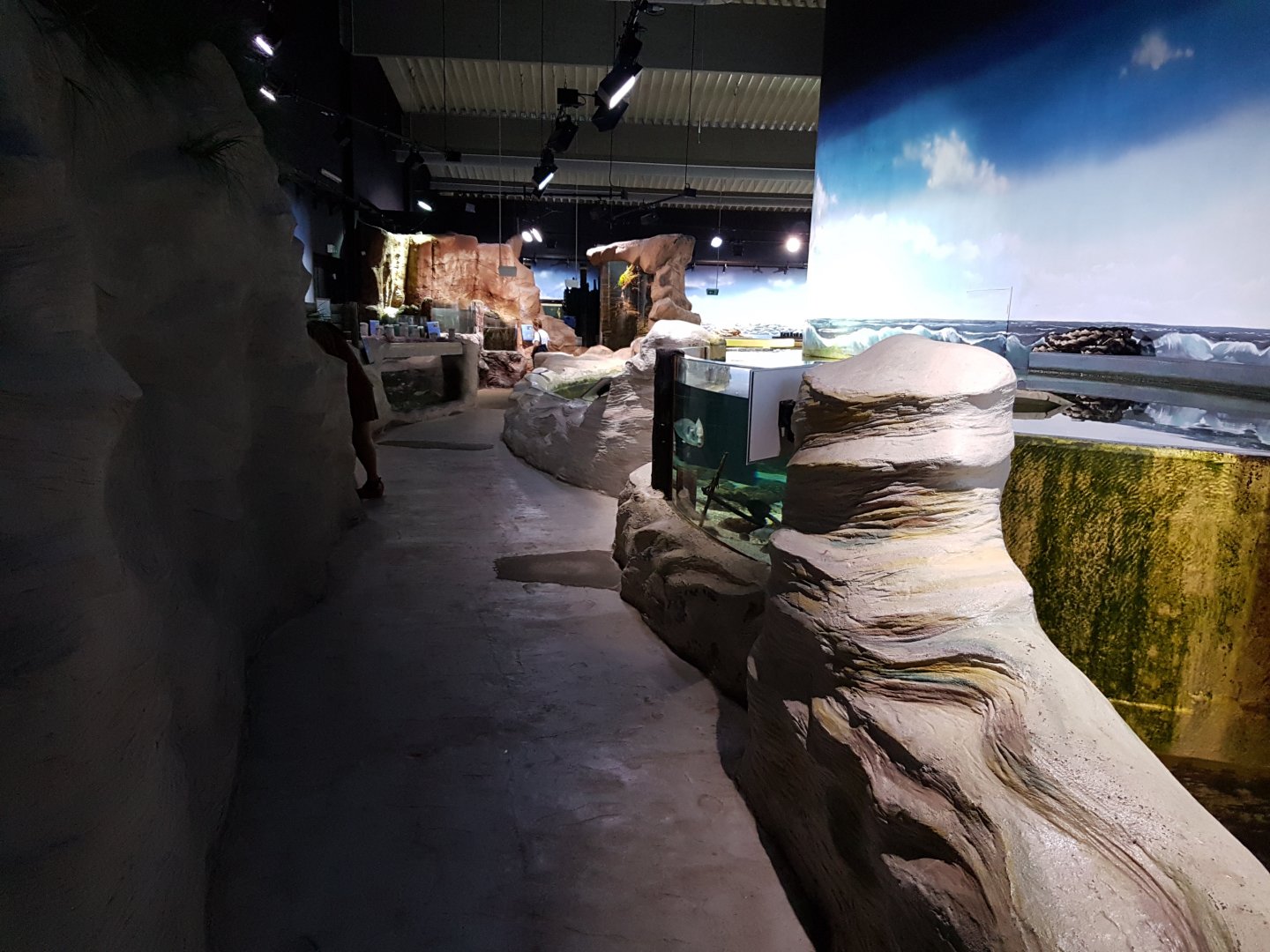 View into the Aquarium