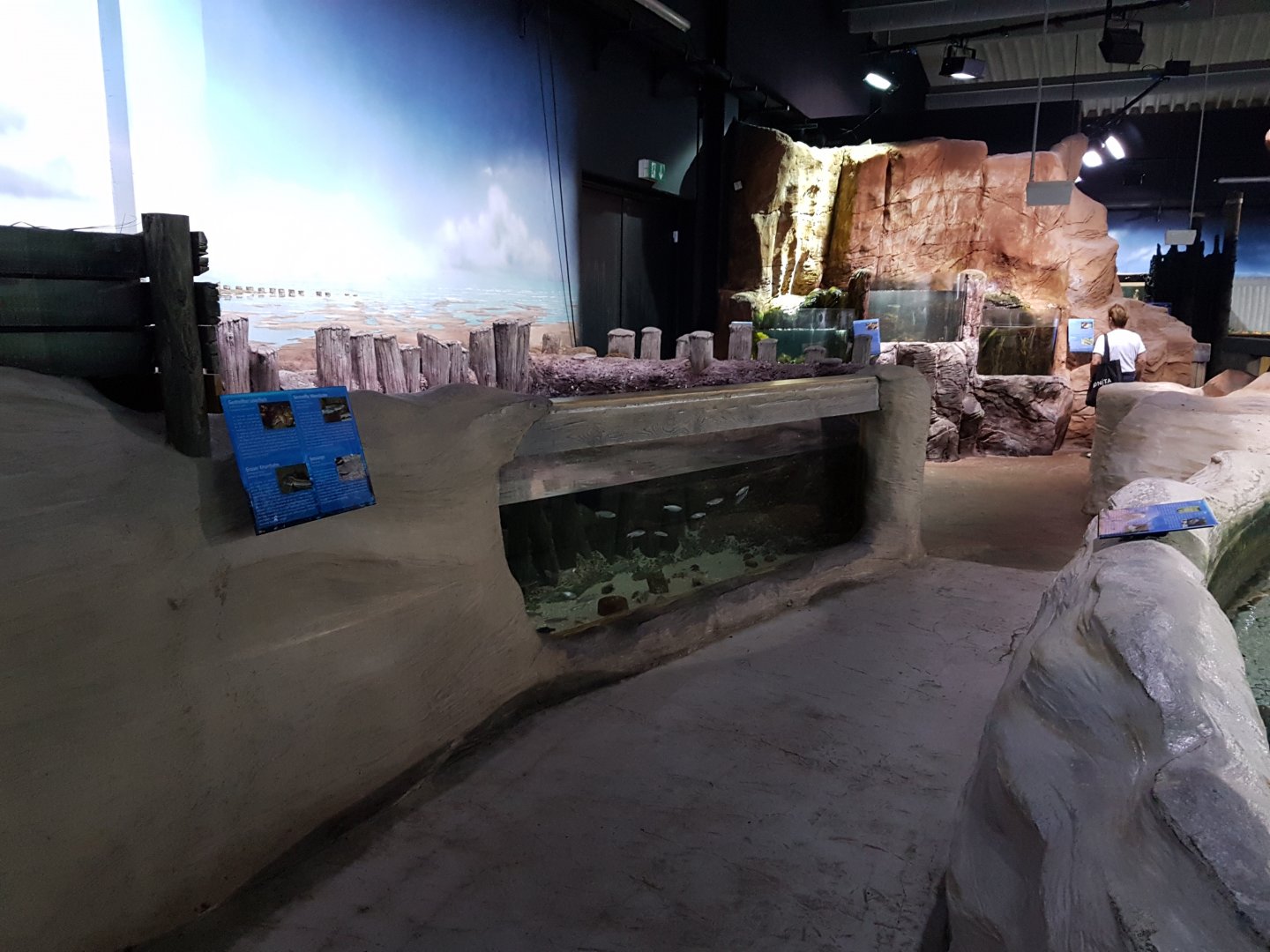 View into the Aquarium