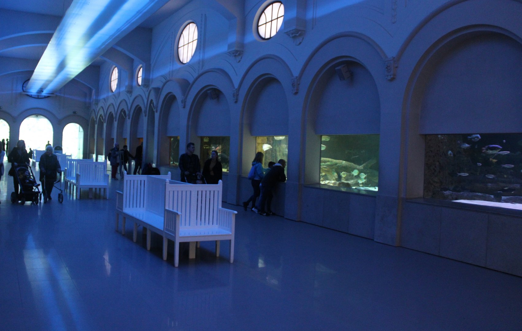 View into the Aquarium