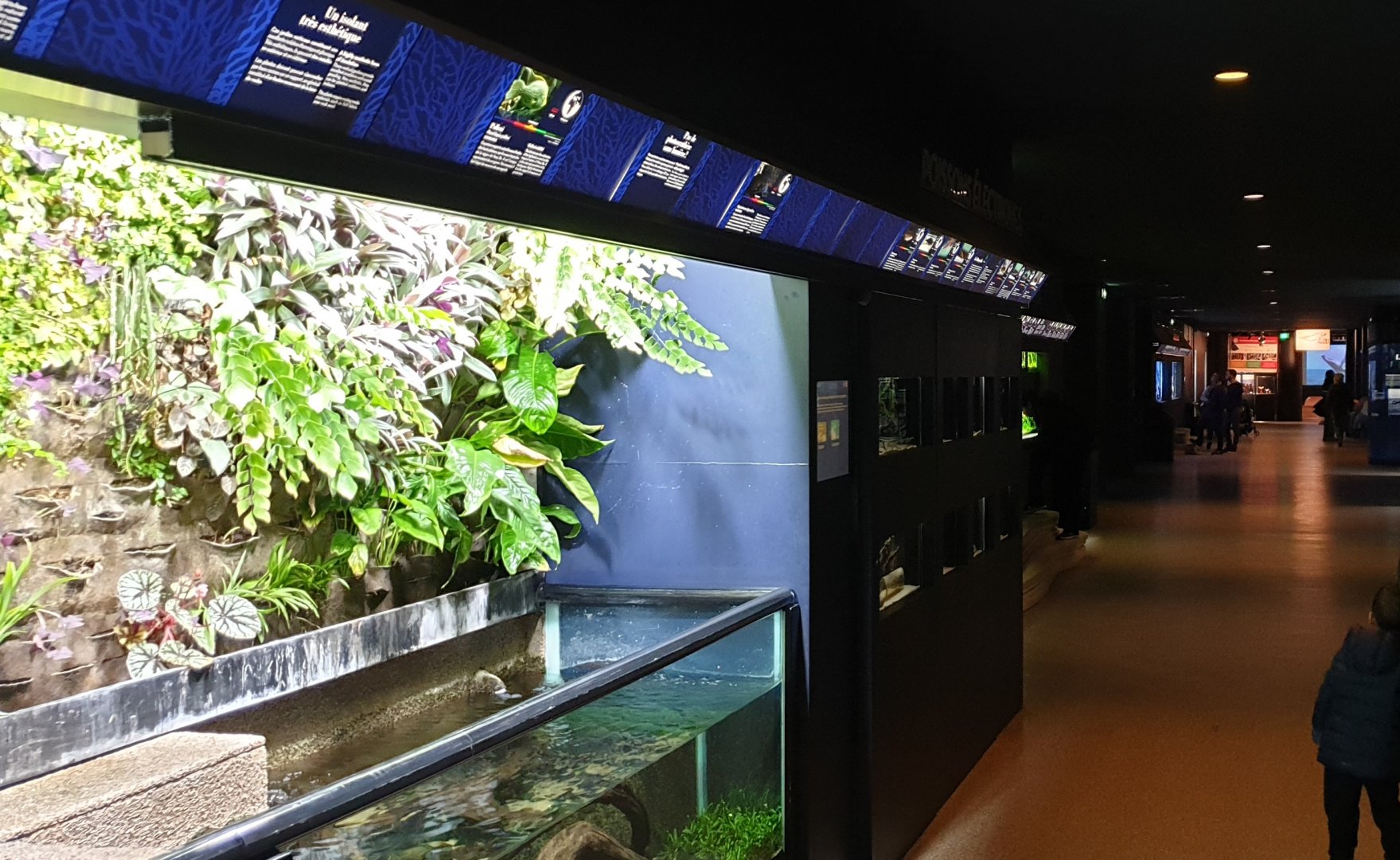 View into the Aquarium