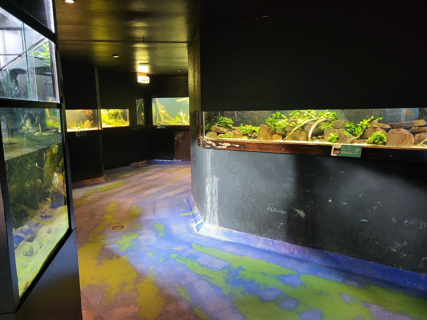 View into the Aquarium