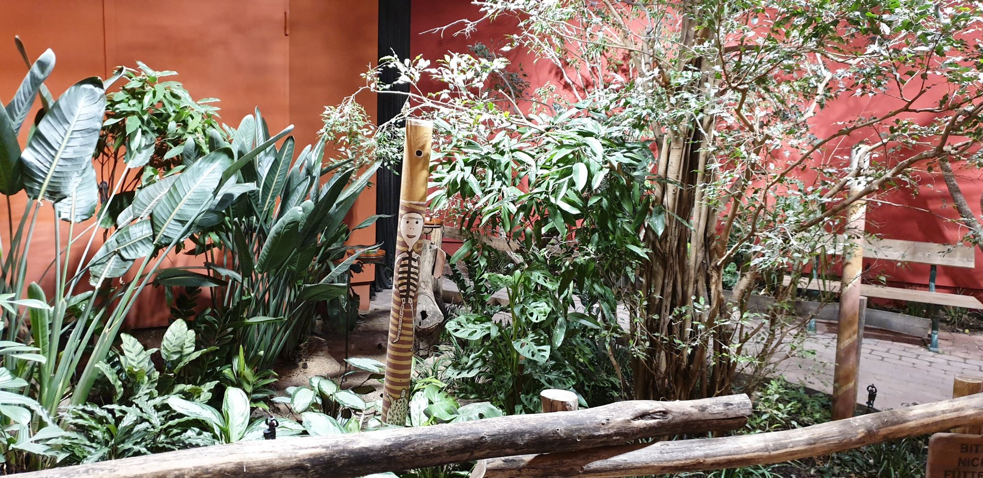 View into the Australian walk-through enclosure