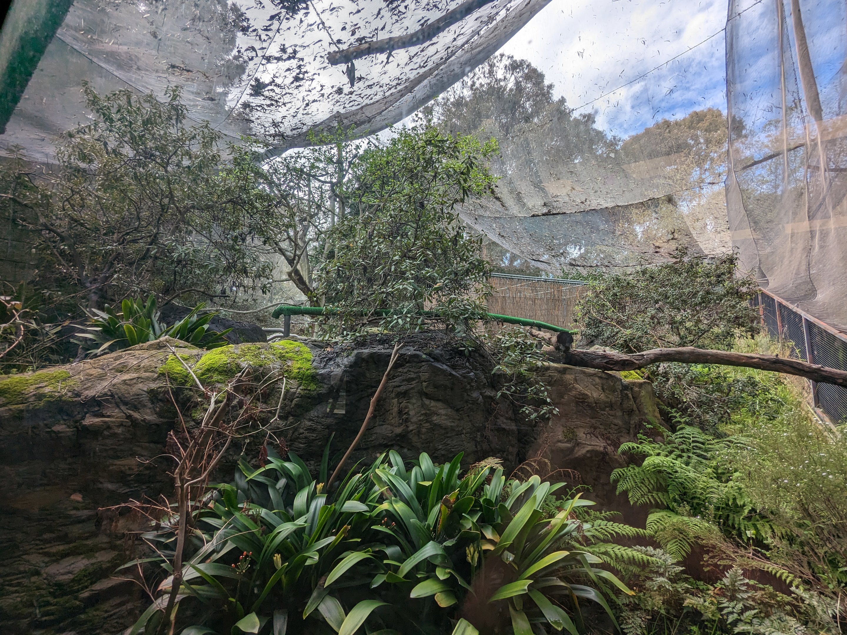 View into the aviary