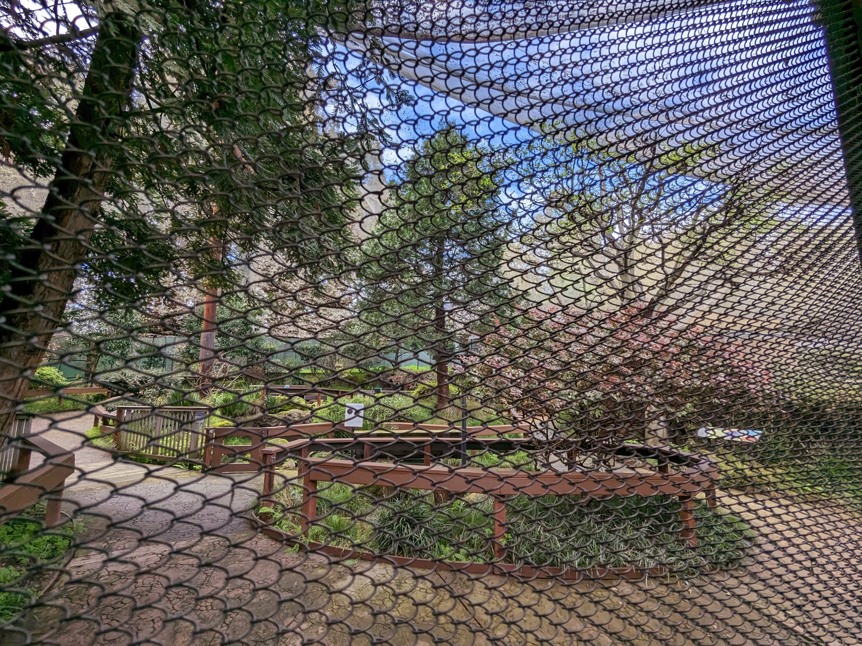 View into the aviary