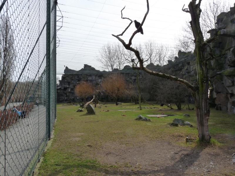 View into the Aviary