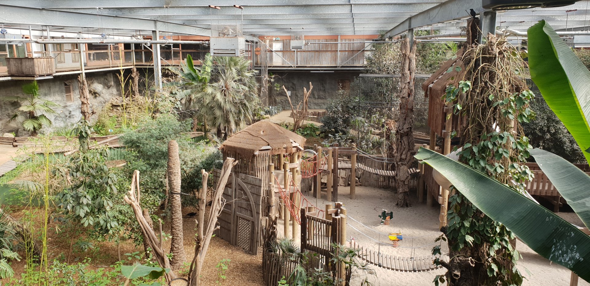View into the Bamboo Hall