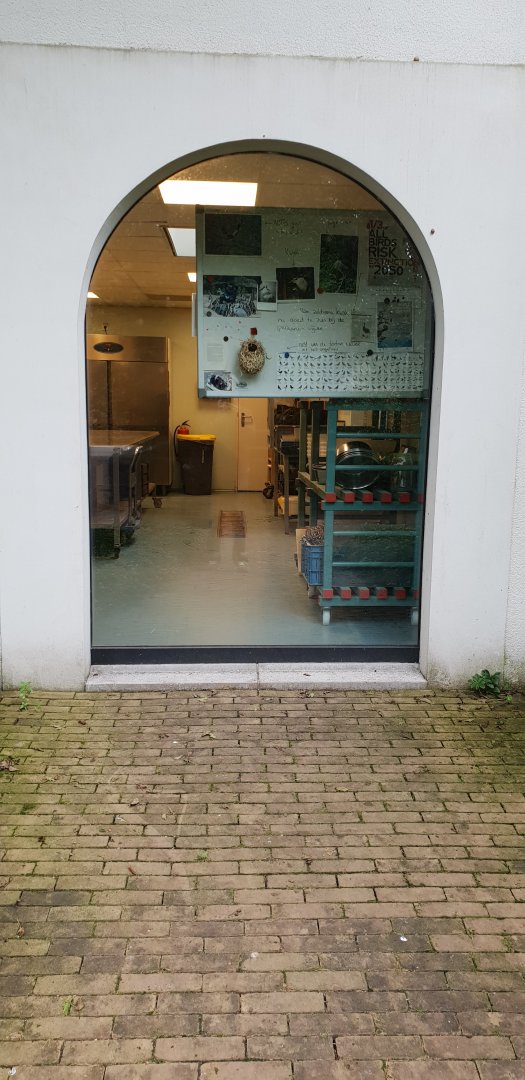 View into the bird-feeding kitchen