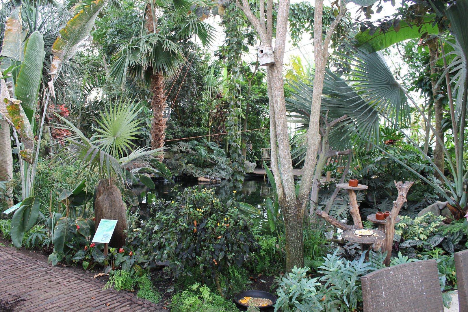 View into the Bird-hall