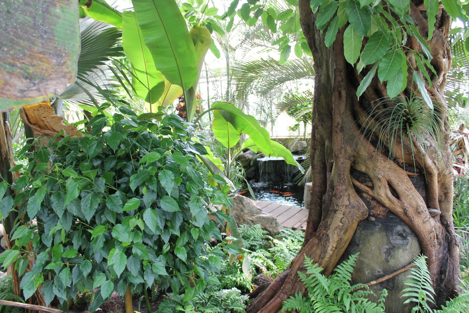 View into the Bird-hall