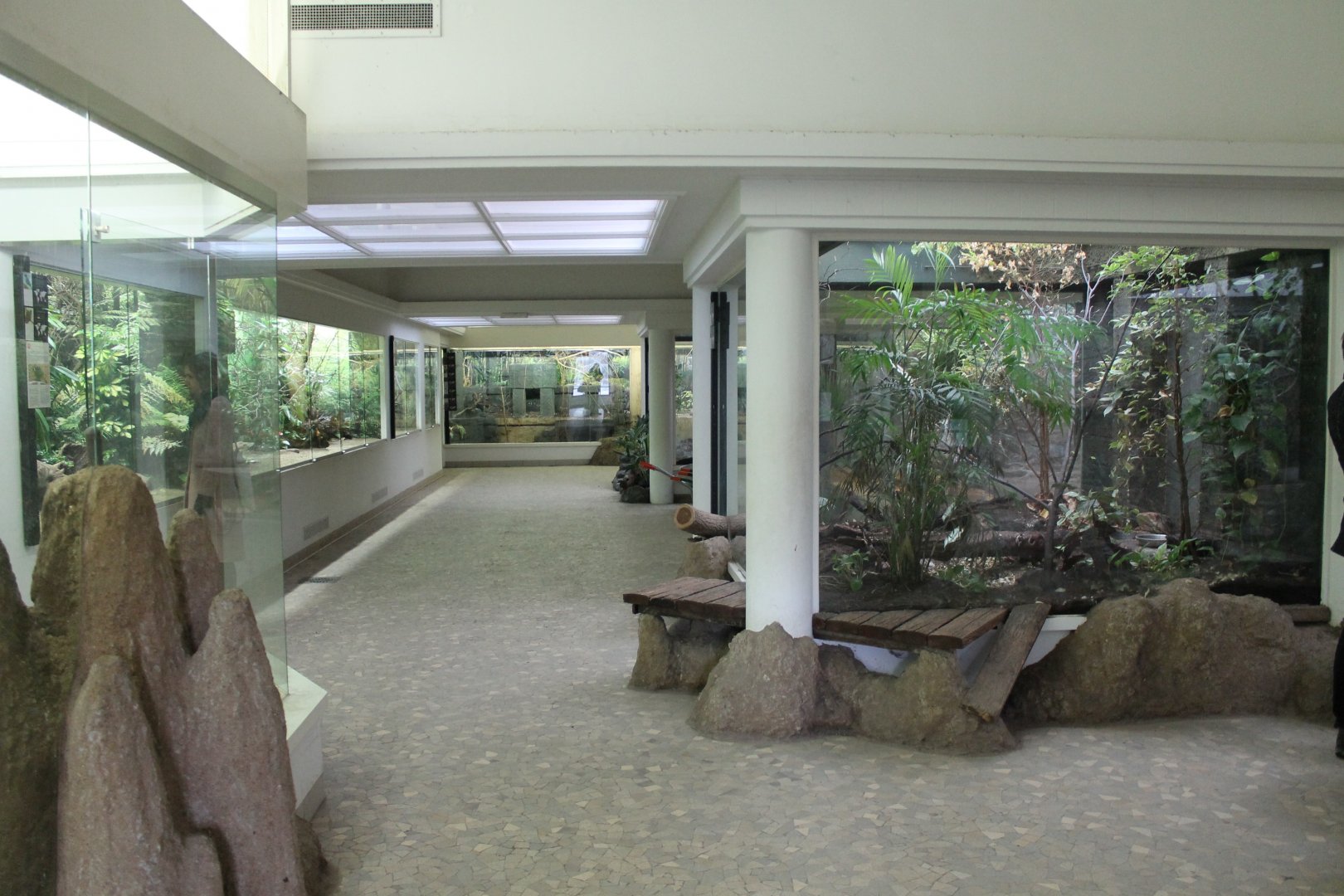 View into the Bird-house