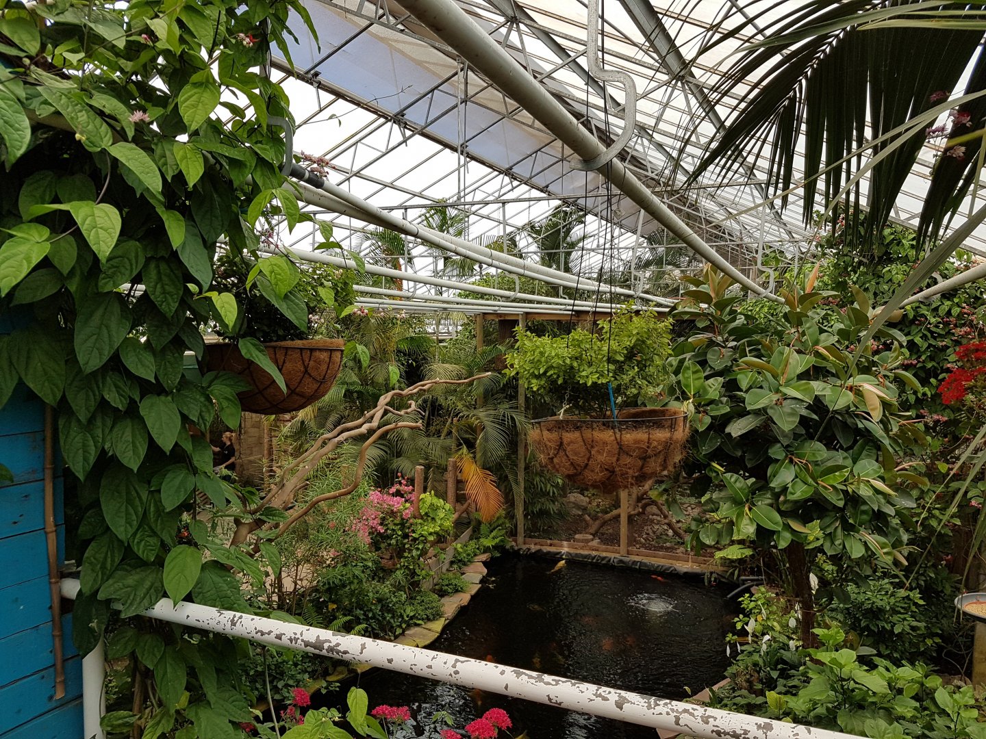 View into the Butterfly-hall from above