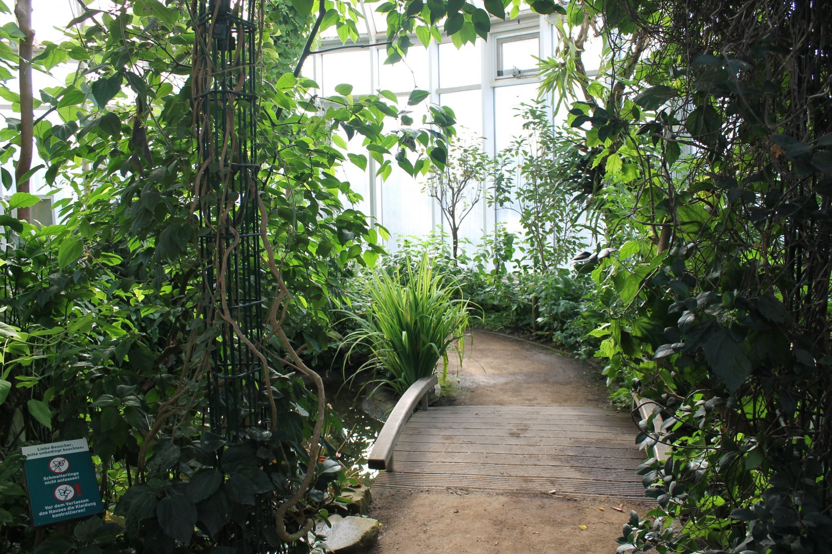 View into the Butterfly-hall