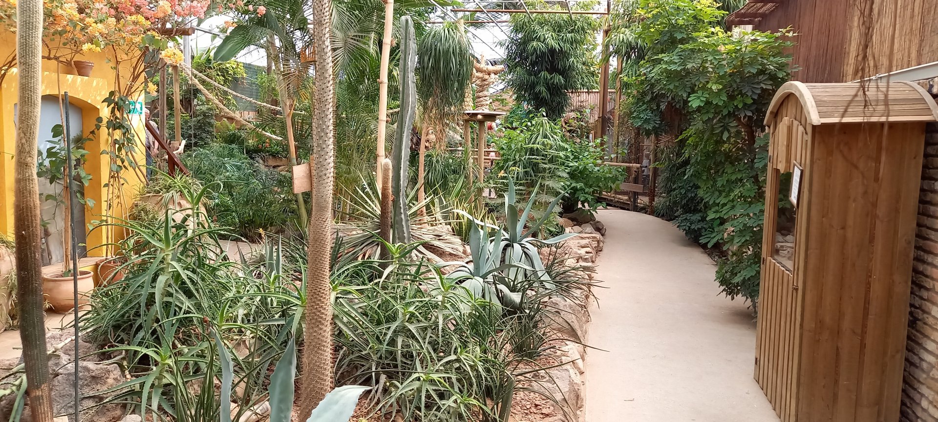 View into the Butterfly walk-through
