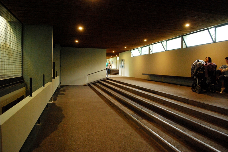 View into the cat house at Stuttgart