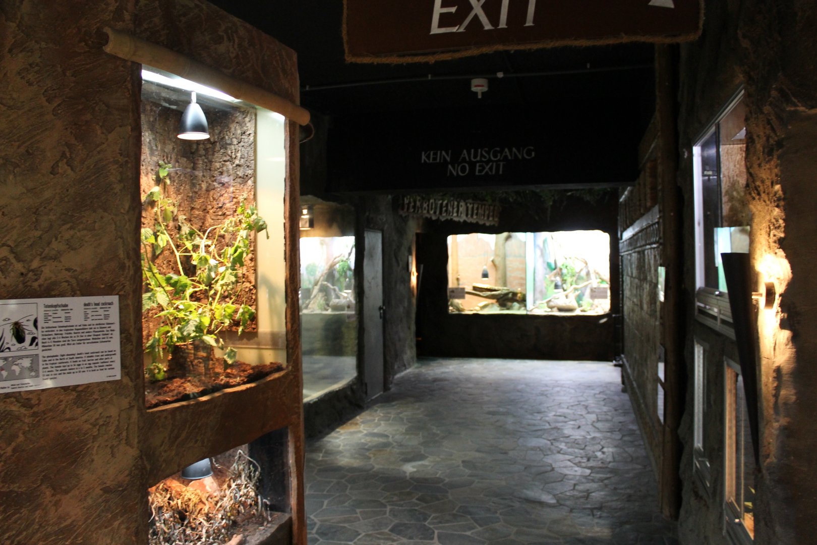 View into the collection