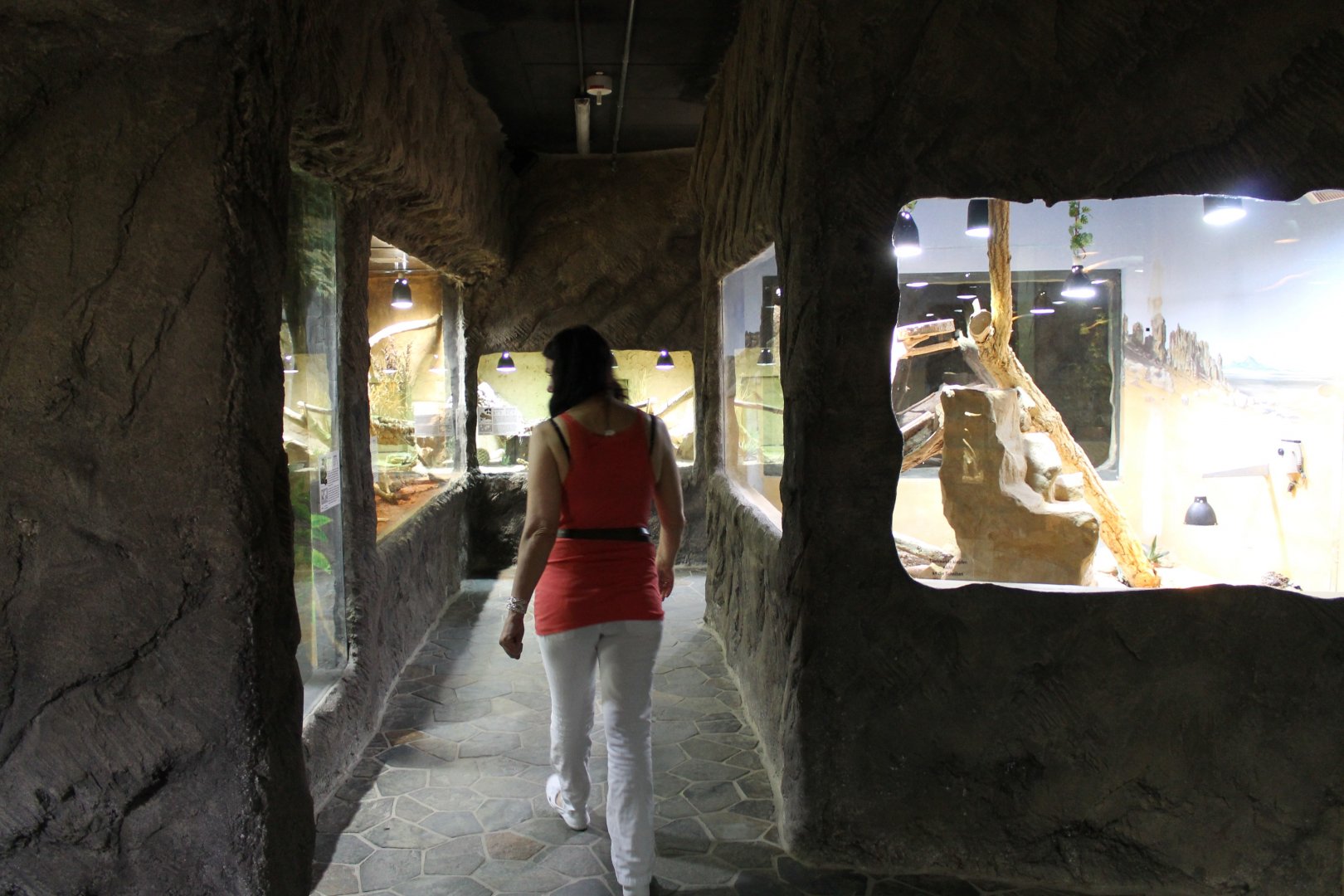 View into the collection