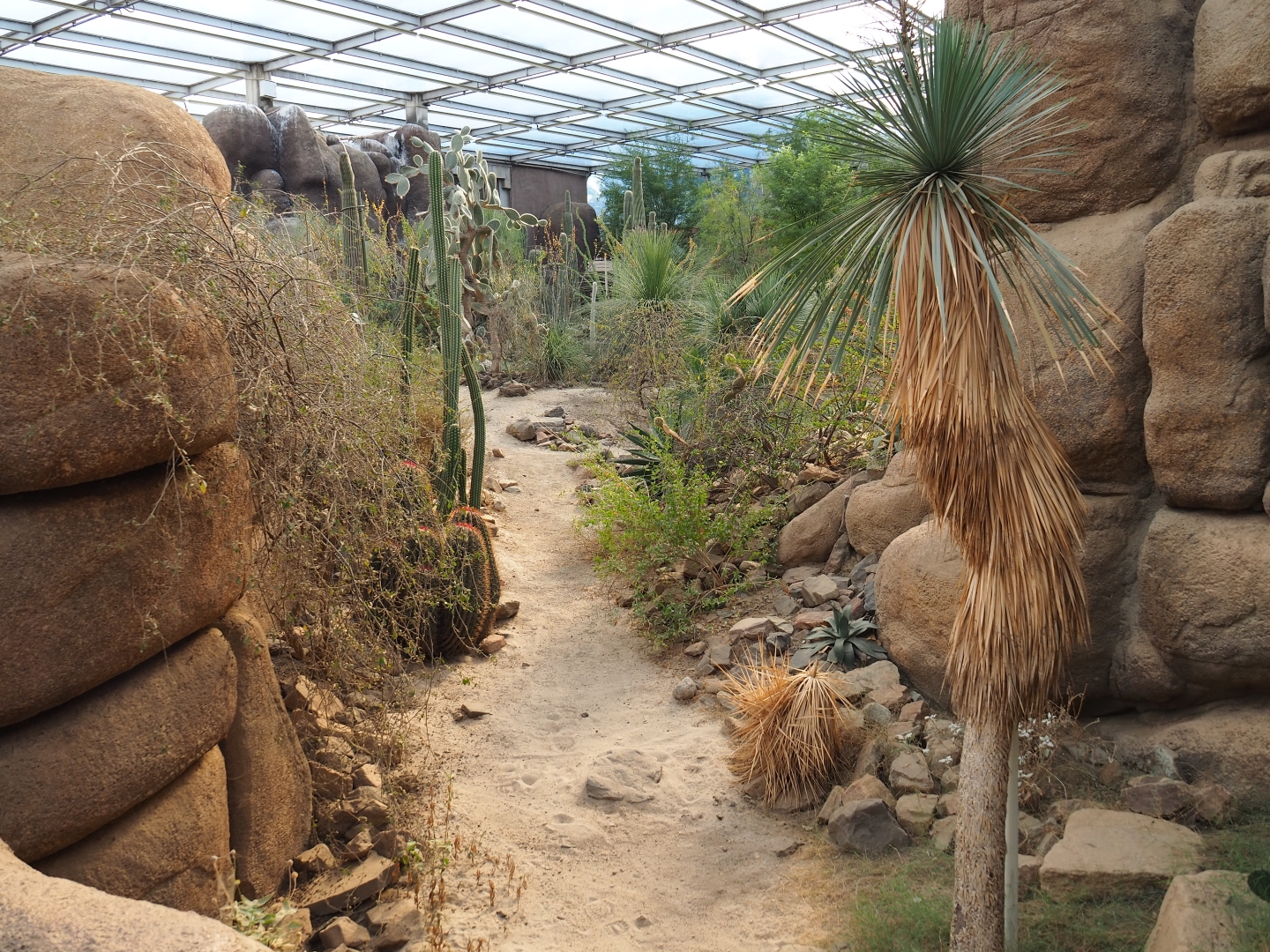 View into the Desert (Sep 16th, 2018)