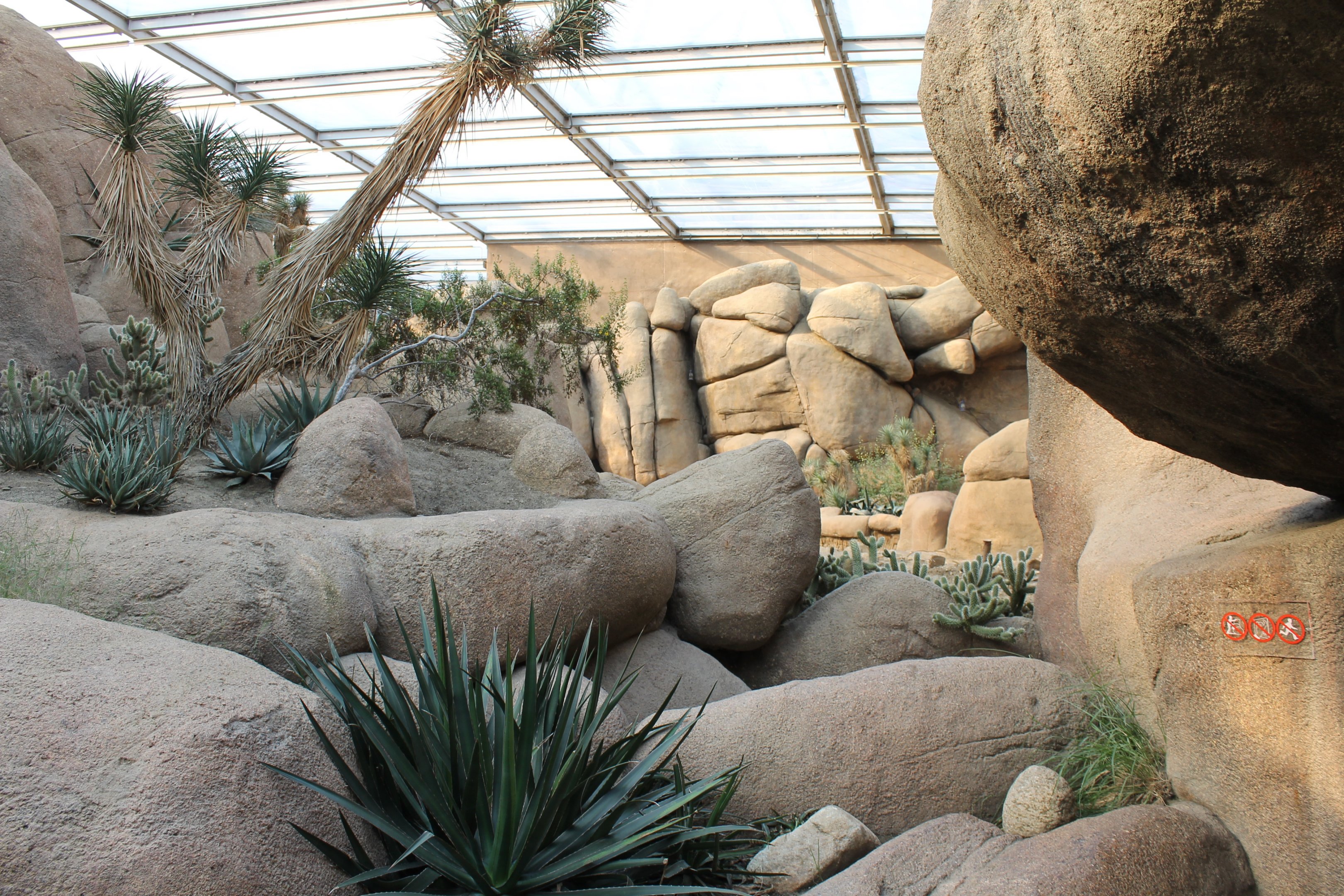 View Into The Desert