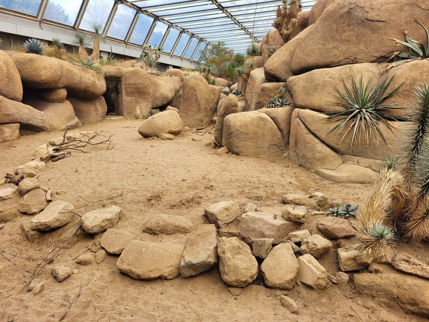 View into the Desert