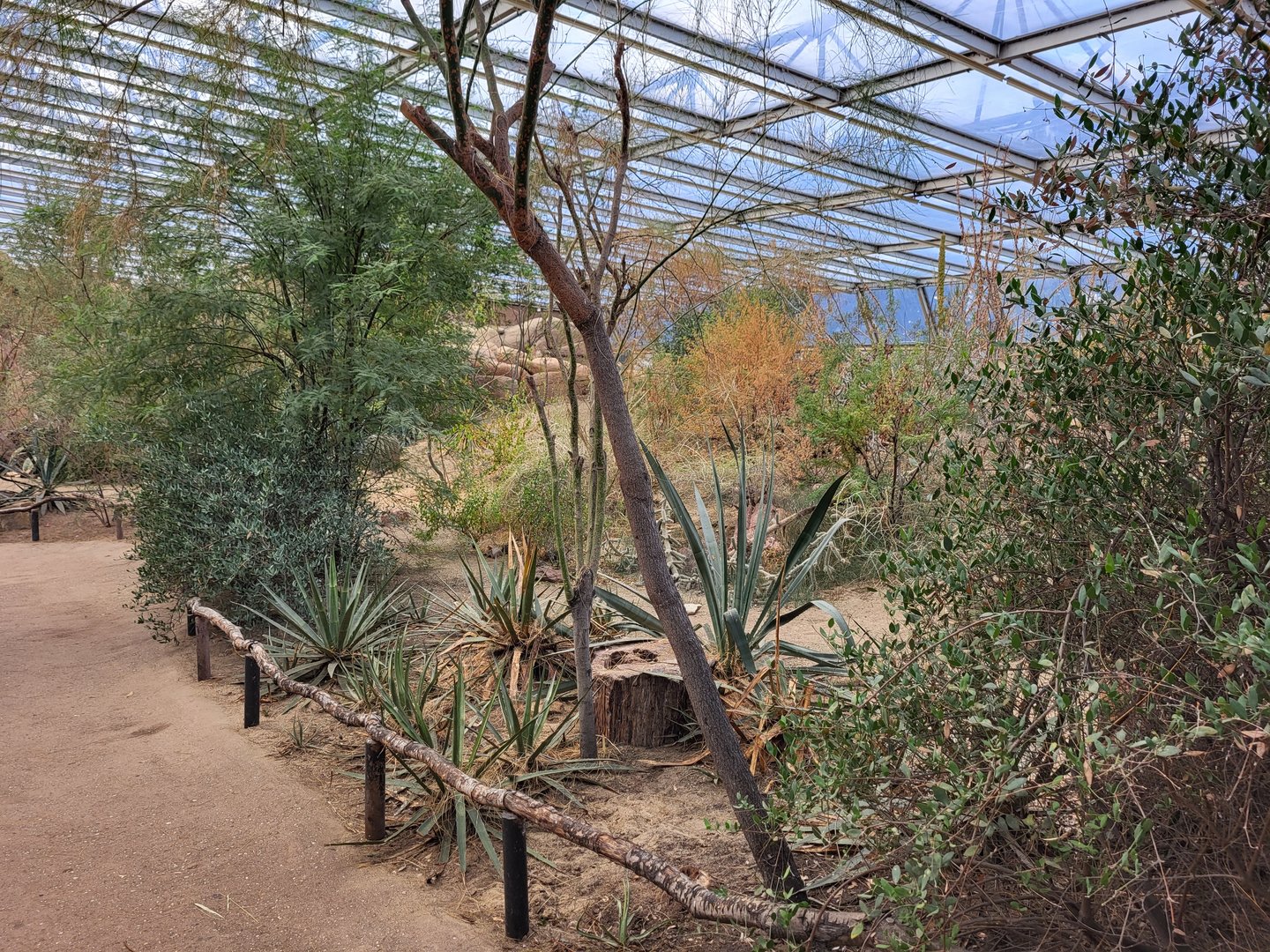 View into the Desert