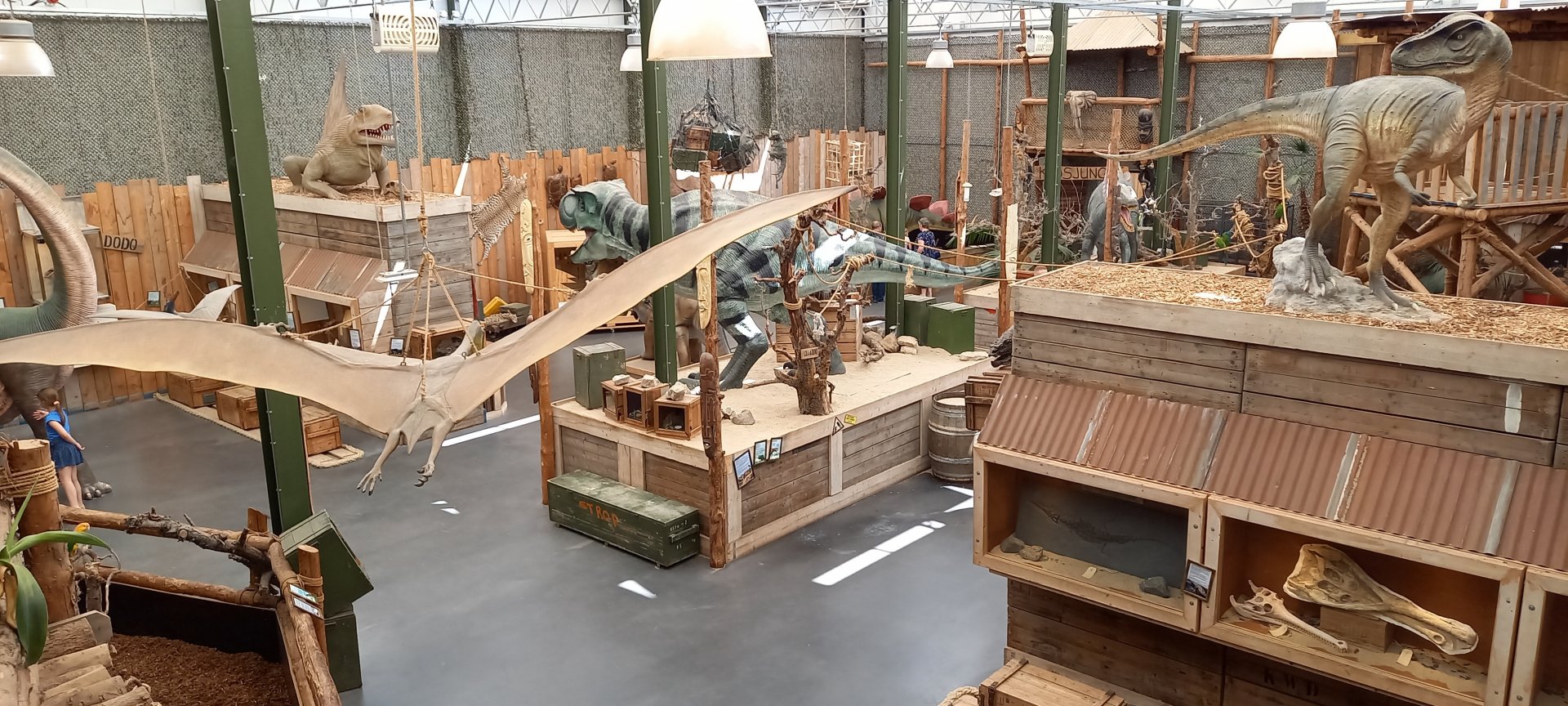 View into the "Dino-hal"