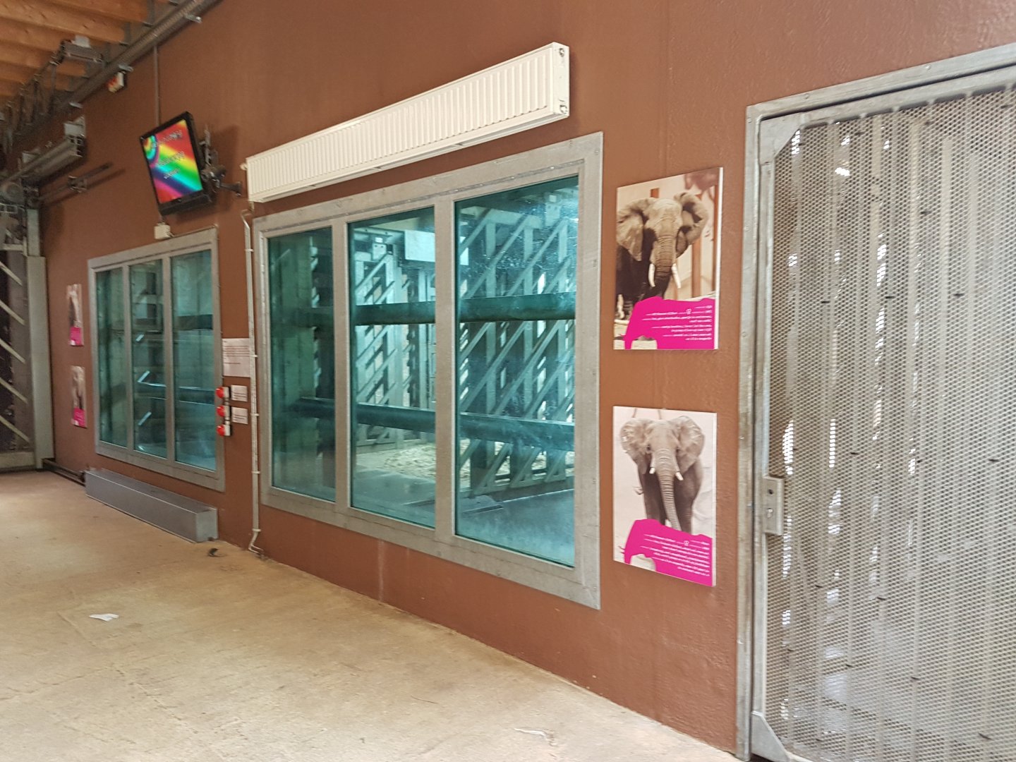 View into the elephant-stables