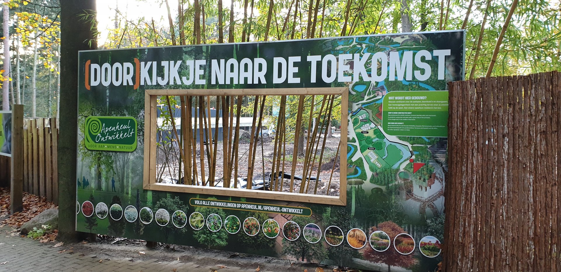 'View into the Future'- building-site new area